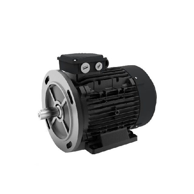 德國(guó)AEG  AM 63Z BA2電機(jī)