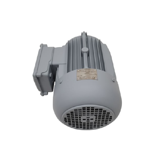 EMOD 100L/4AT 三相異步電動(dòng)機(jī)